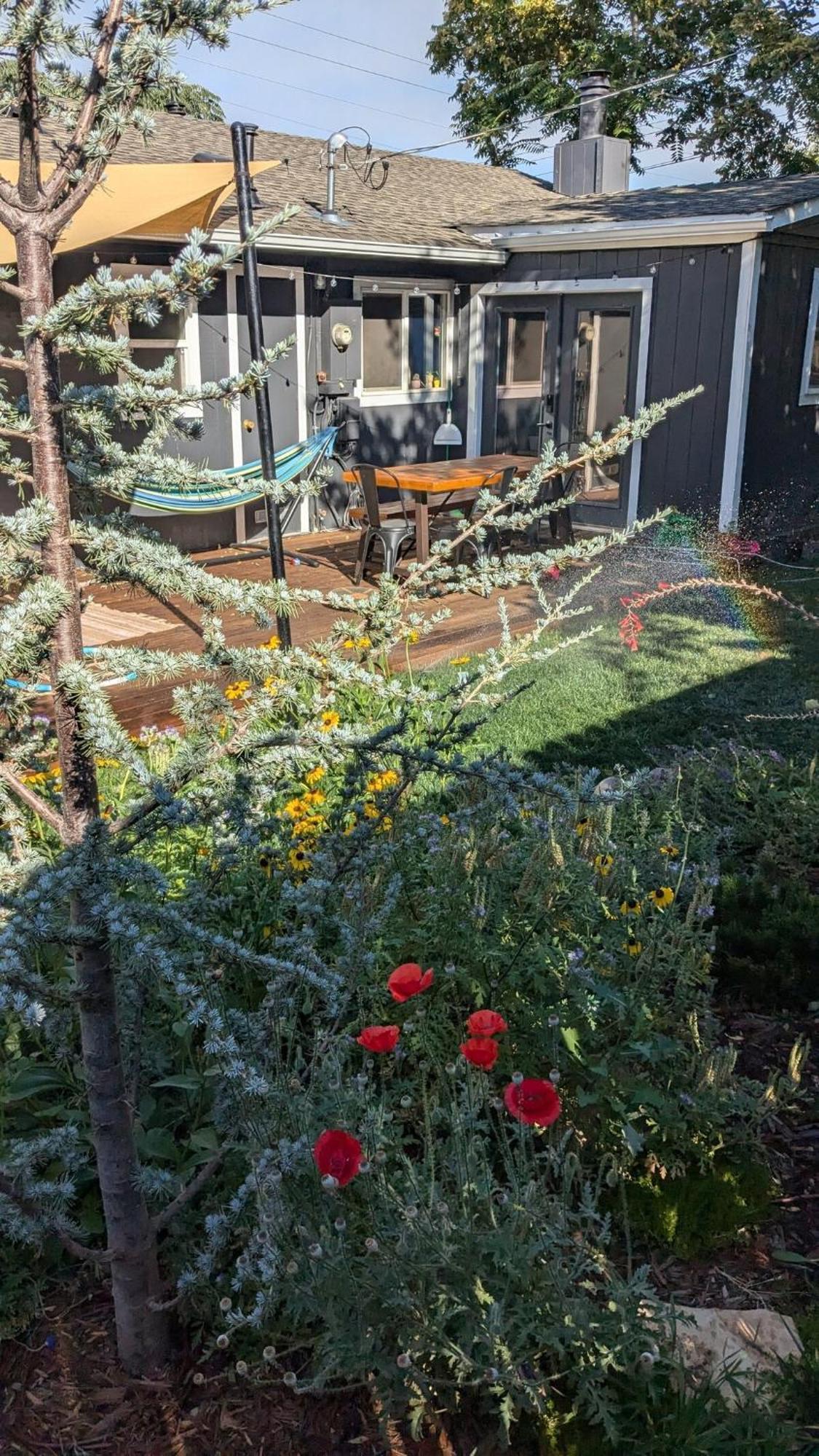 The Midtown Reno Orchard Villa Bagian luar foto