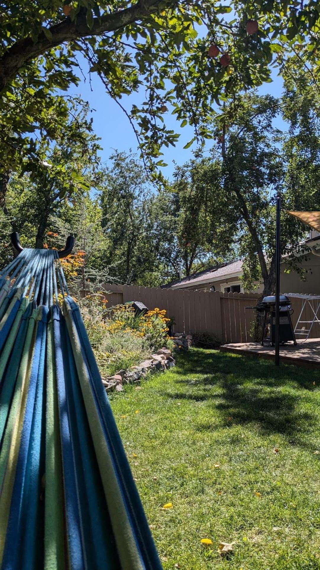 The Midtown Reno Orchard Villa Bagian luar foto
